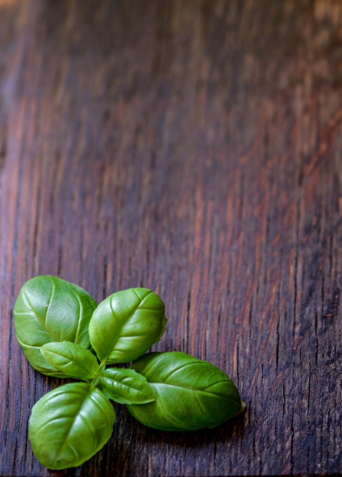 Green Basil Leaves