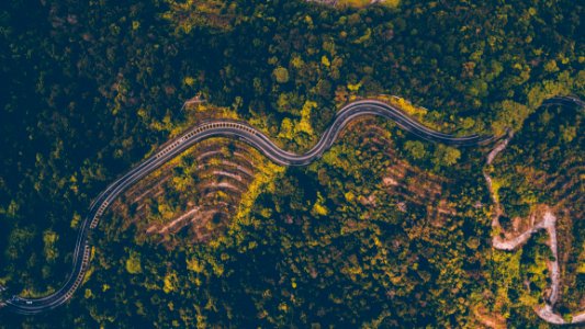 Aerial Photography Of Road Beside Forest photo