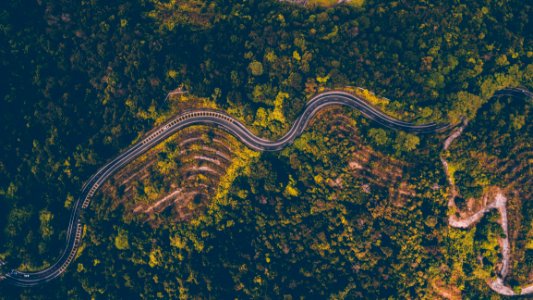 Aerial Photography Of Road Beside Forest