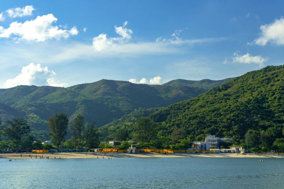 Forest Covered Mountain Near The Ocean
