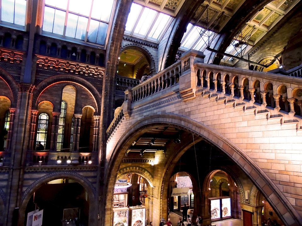 Museum history natural