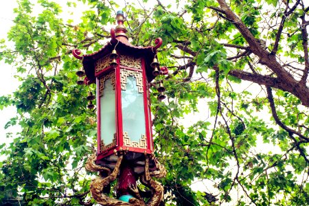 Red And Brown Light Post Under Green Leaf Tree