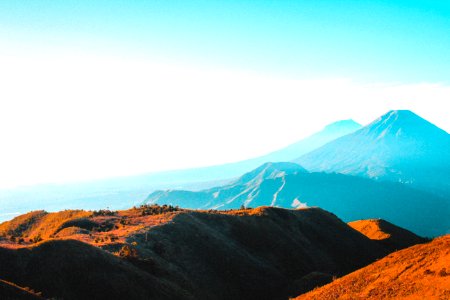 Brown Hills View