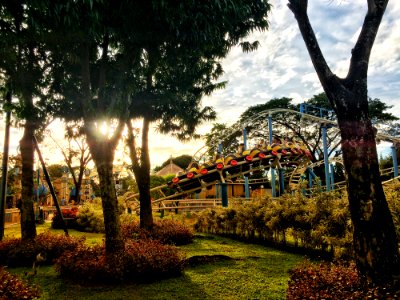 Roller Coaster Ride Near Trees Under Blue Clouds