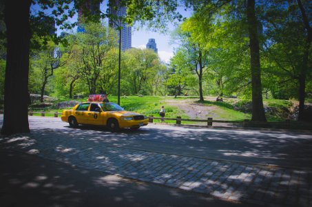 Yellow Ford Crown Victoria On Gray Concrete Pathway