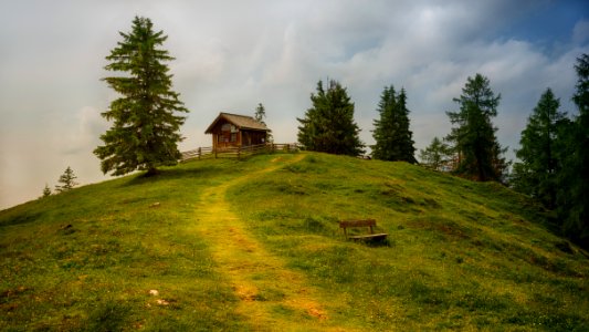 Brown Wooden House photo