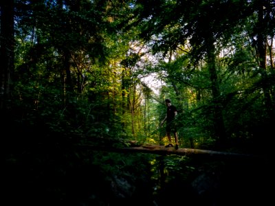 Man On Tree Trunk