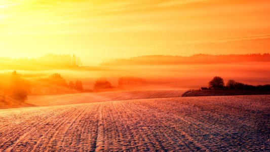 Sunset View On The Forest