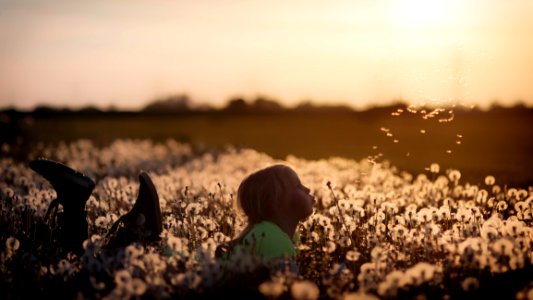 Girl Blowing A Dandelion Flower photo