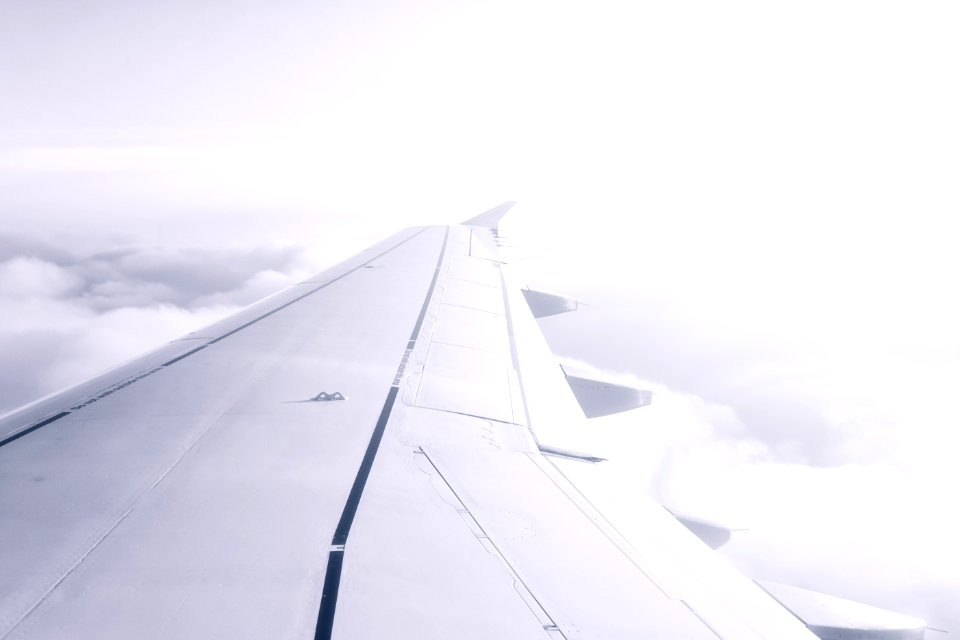 Aircraft Wing photo