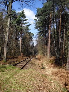 Railroad tracks sky photo