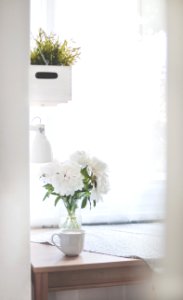 White Peonies In Clear Glass Vase Centerpiece Near A White Ceramic Mug Closeup Photography photo