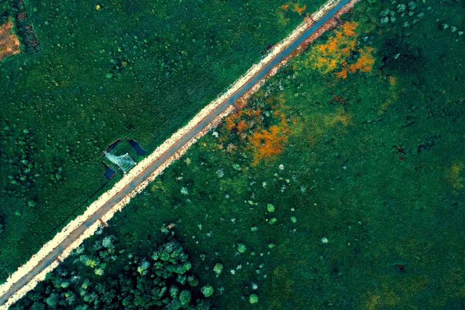Aerial Photo Of Highway