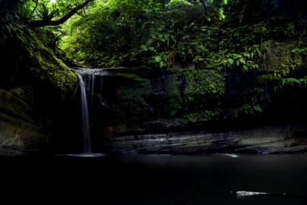 Waterfall Surrounded By Green Leaf Trees photo