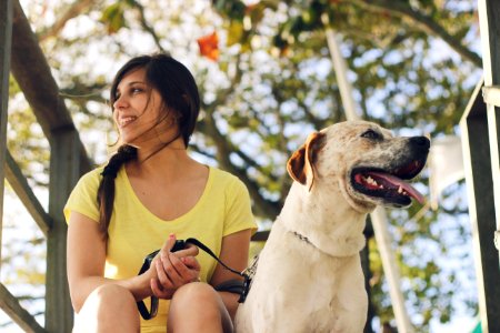 Woman Wearing Yellow V-neck T-shirt Beside Short-coated White And Brown Dog At Daytime