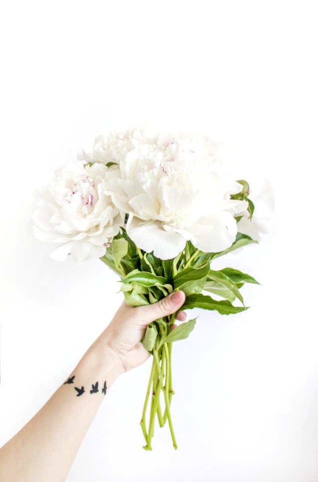 Person Holding White Peony Bouquet Closeup Photography