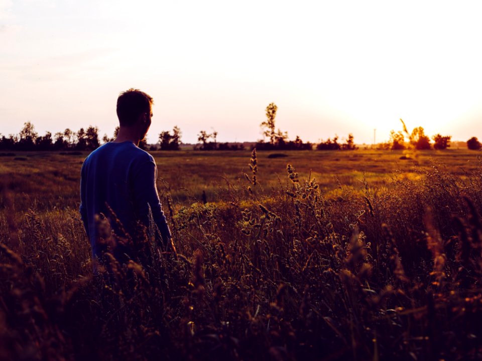 Man In Blue Sweatshirt In The Middle Of Field During Sunset