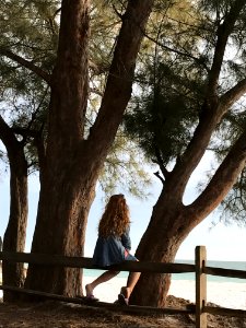 Woman Sitting On Wooden Fence Beside Tree photo