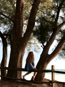 Woman Sitting On Wooden Fence Beside Tree