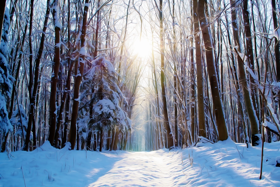 Snow winter wonderful