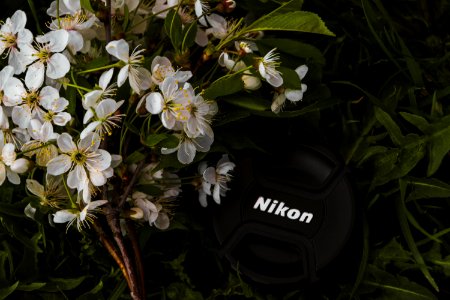 Black Nikon Dslr Camera Lens Cover Near White Petaled Flowers photo