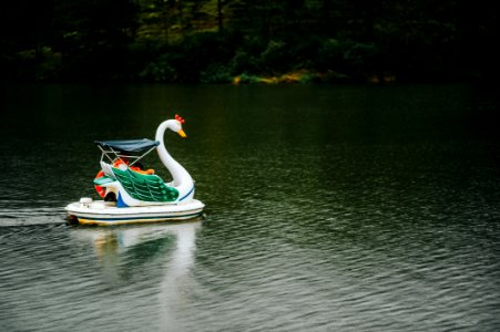 Swan Boat In Body Of Water photo
