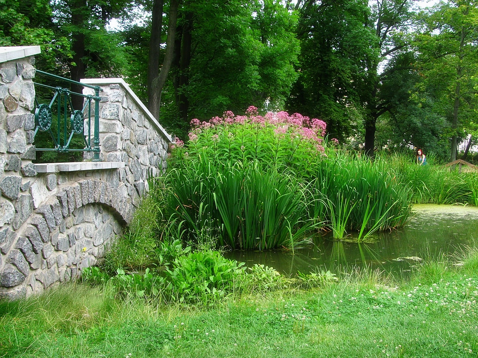 Feng shui spring bridge