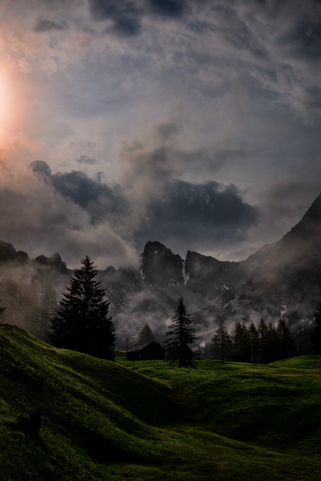 Green Grass Field