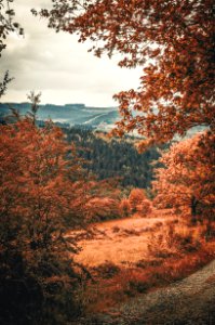 Landscape Photography Of Mountains And Trees photo