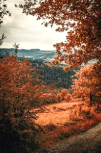 Landscape Photography Of Mountains And Trees