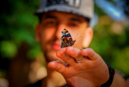 Brown And Black Butterfly On Mans Hand photo