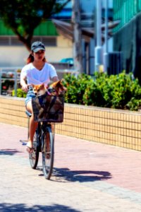 Woman Riding Bicycle With Dog In Basket photo