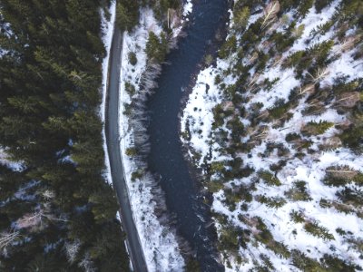 Body Of Water Near Green Trees photo