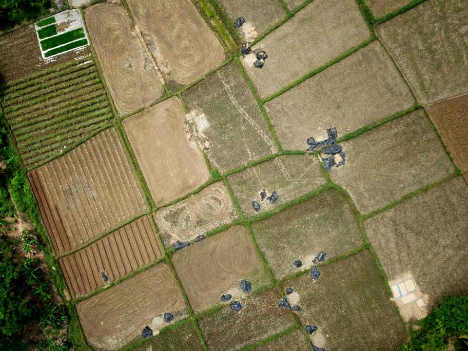 Aerial View Of Farm