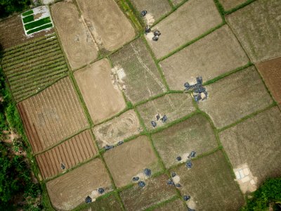 Aerial View Of Farm