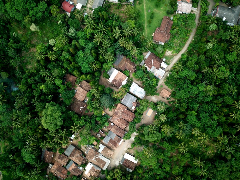 Aerial View Of Sheds