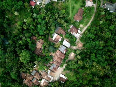 Aerial View Of Sheds