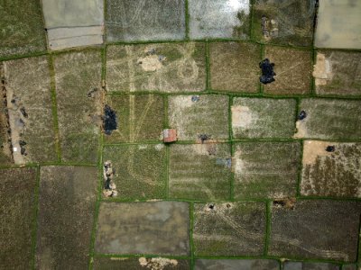 Aerial Photography Of Green Grass Field photo
