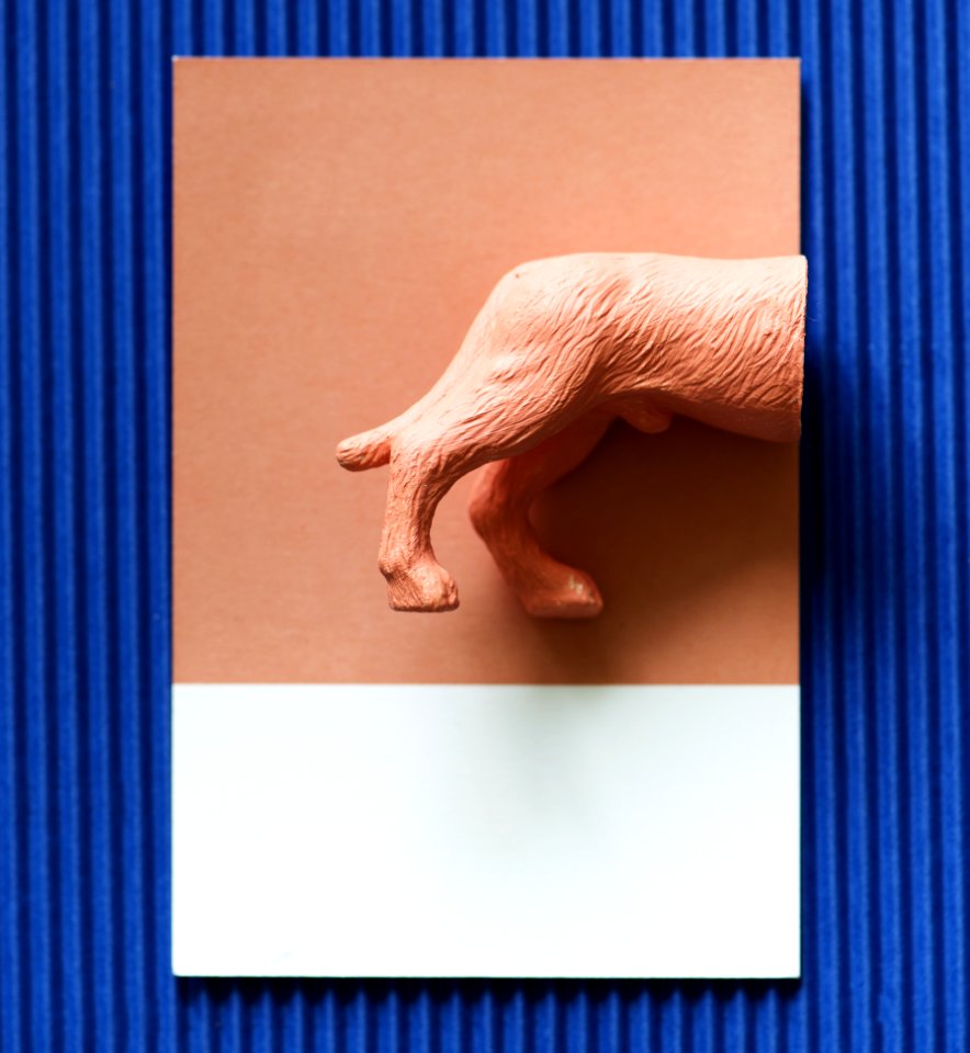 Blue Hand Finger Close Up