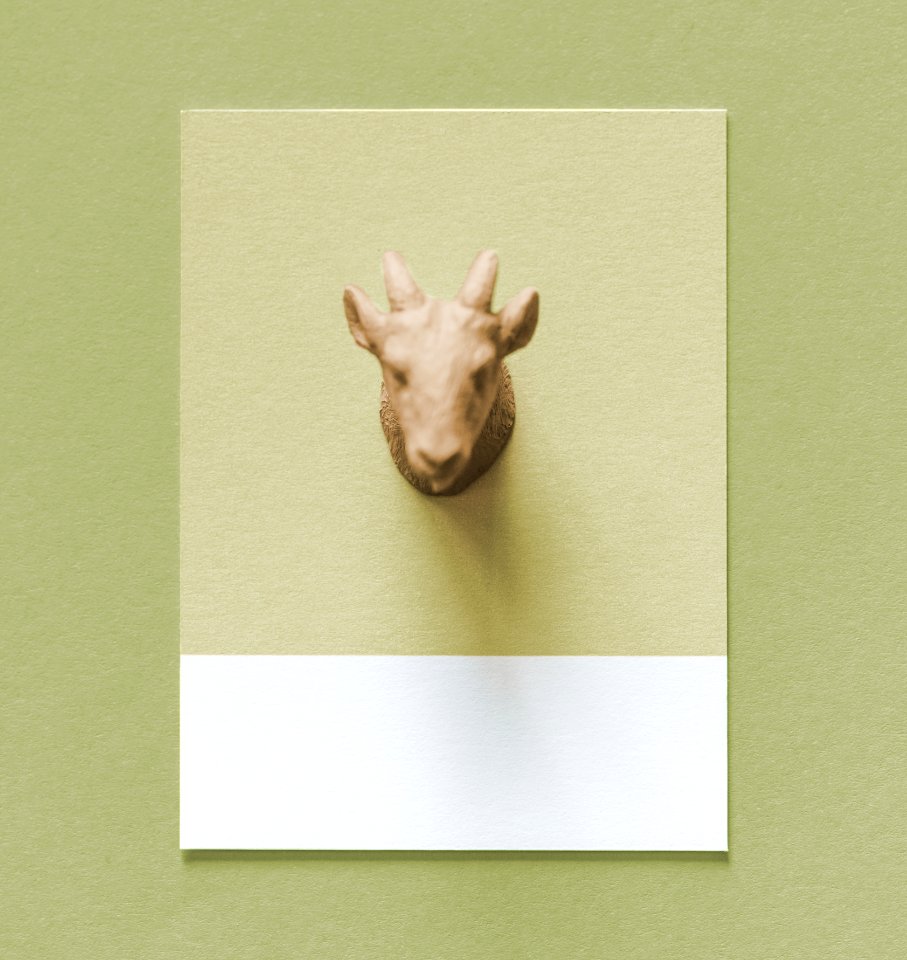 Abstract Animal Art