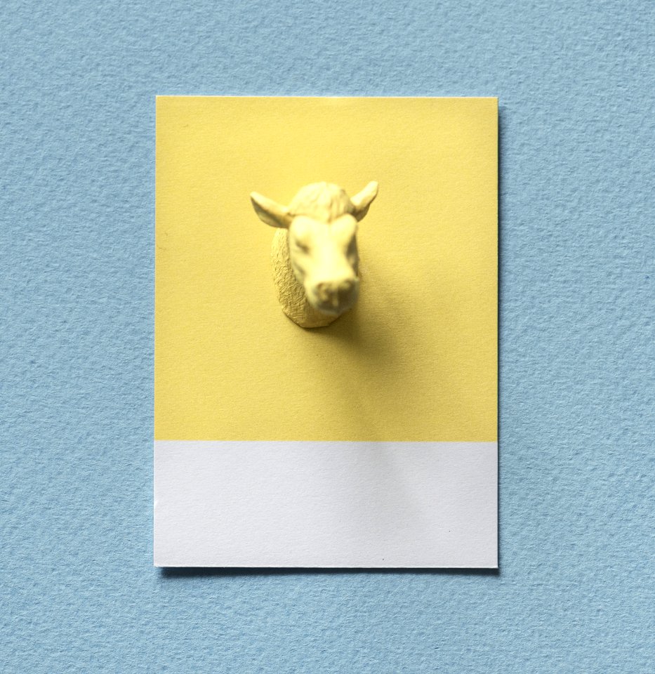 Yellow Font Rectangle