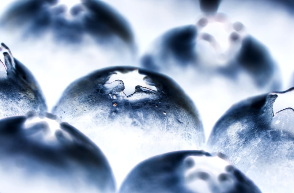 Antioxidant Background Berry