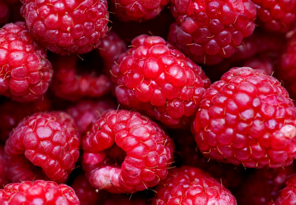 Background Berry Cc0