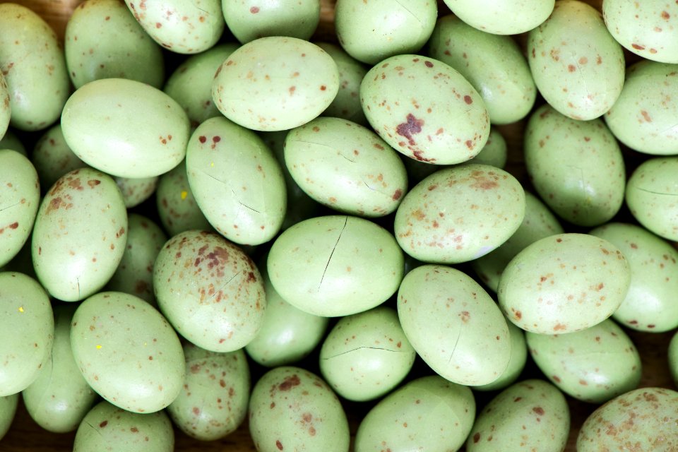 Background Ball Bean