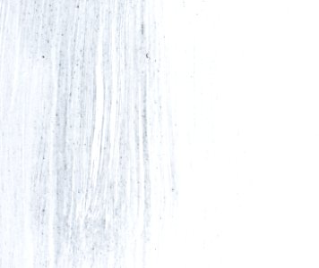 Grunge Background Wallpaper Texture Concrete Concept