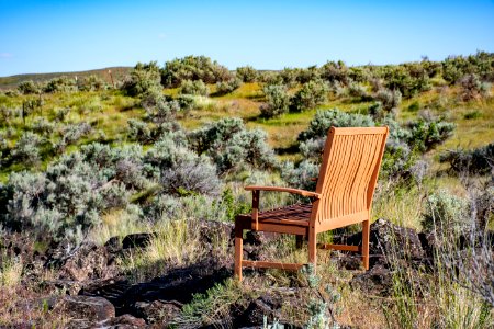 Brown Wooden Armchair On Green Grass photo