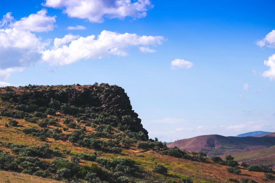 Green Trees On Hill