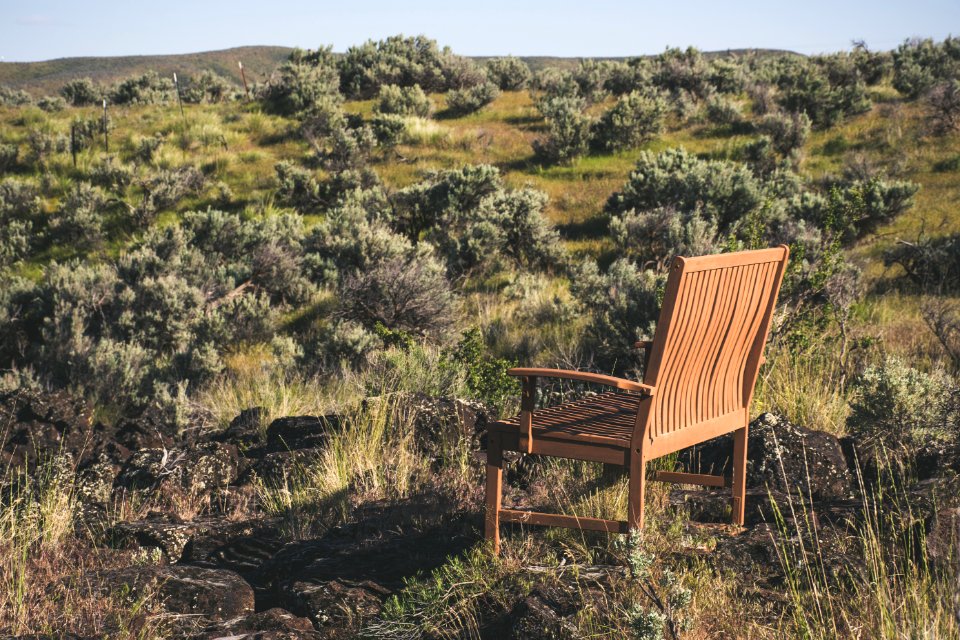 Brown Wooden Bench On Green Grass Field
