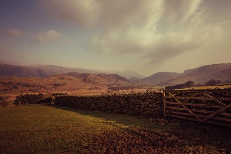 Wooden Fence In A Farm