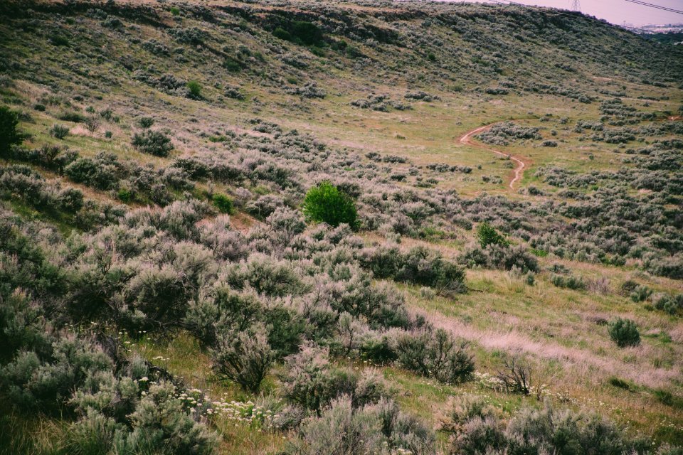 Aerial Photography Of Green Field